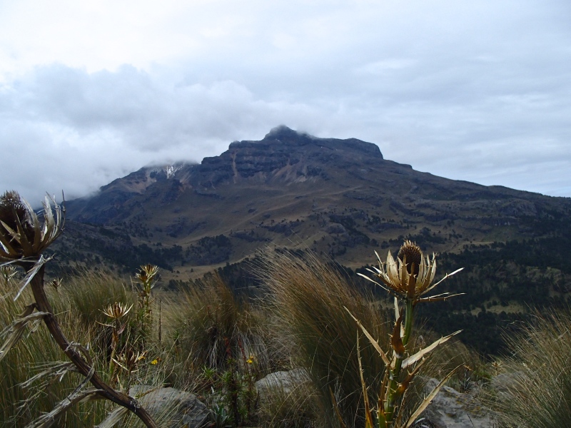 Looking out (over a rare species of flower that only grows at high altitudes) at Itza, la mujer durmida
